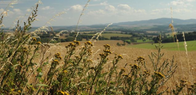 Výlet na Filipovu Horu a LPD2017 na Můstku